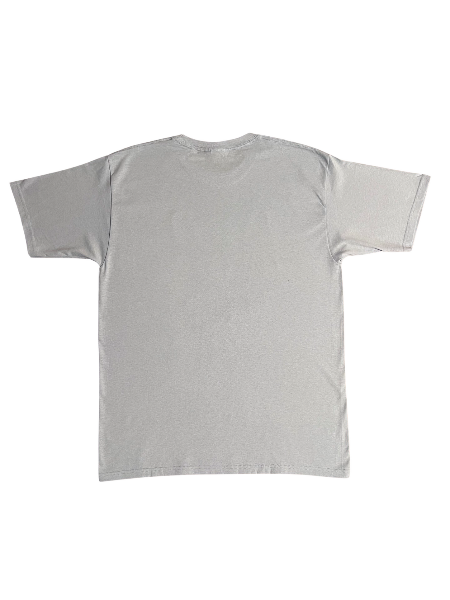 Toxic-Punk grey T-Shirt